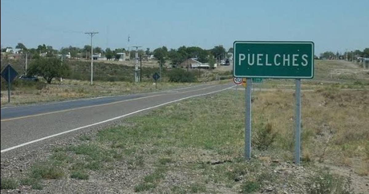 Alerta en Puelches por el envenenamiento de seis perros